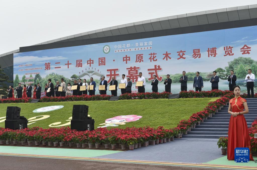 通宝的网站现在是多少